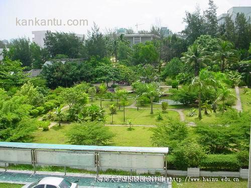 海南大学略景