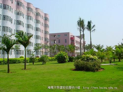 海南大学美景