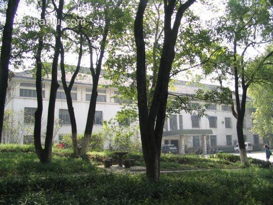 武汉大学美景