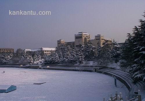 武汉大学美景