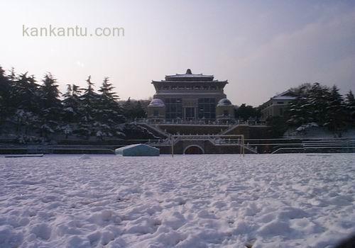 武汉大学美景