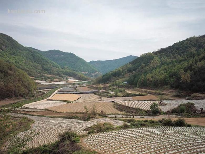 乡村田野