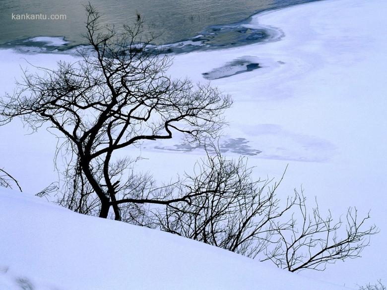 冰雪融融