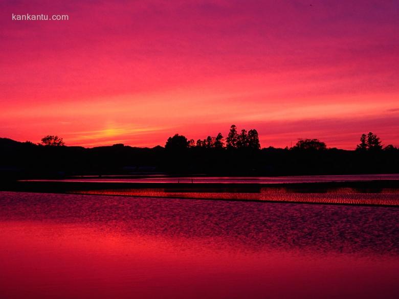 夕阳景观