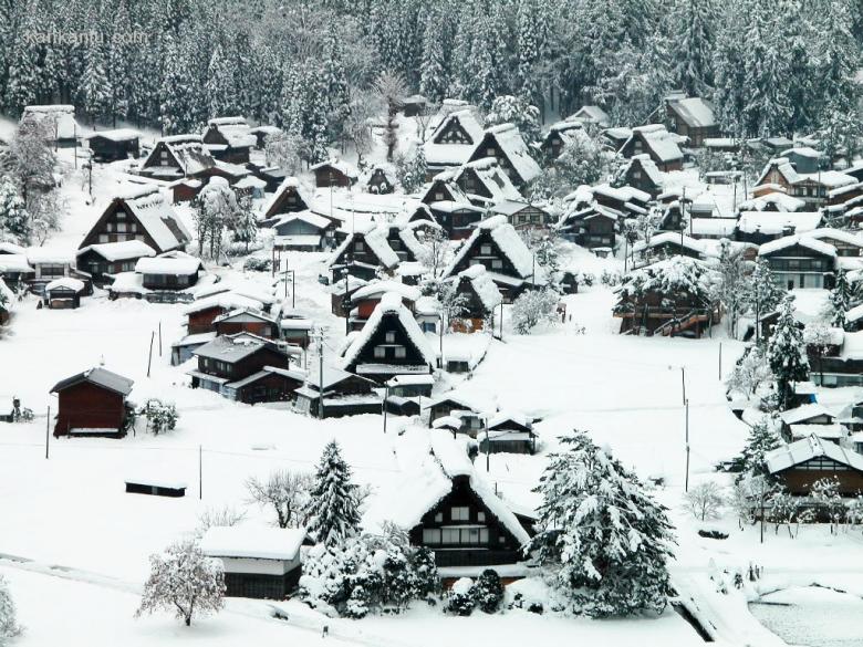 皑皑雪景