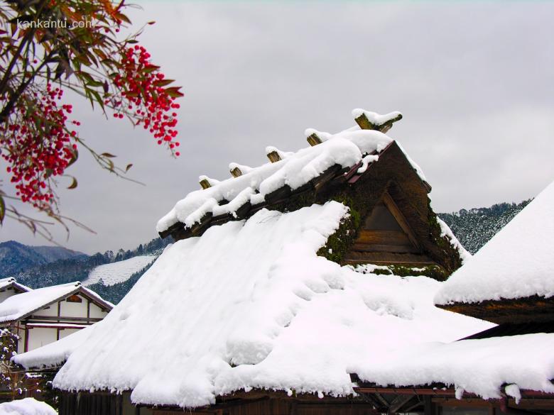 皑皑雪景