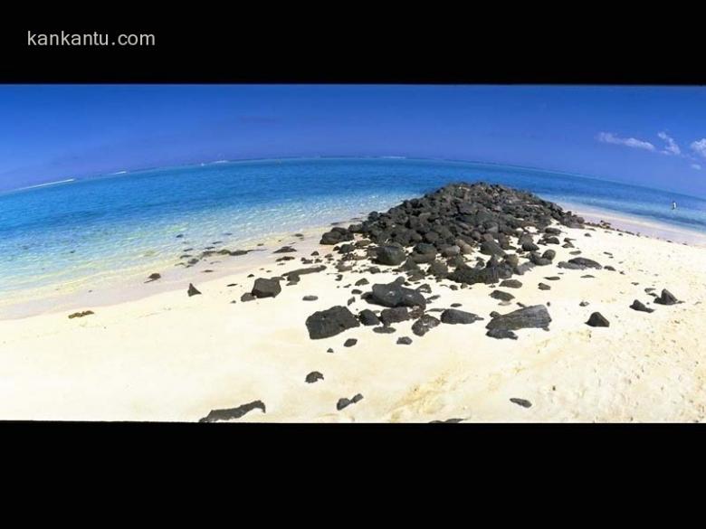 大海和海滩