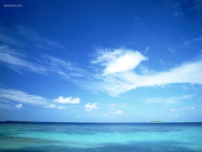 海滩天空椰树