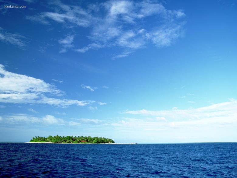 海滩天空椰树