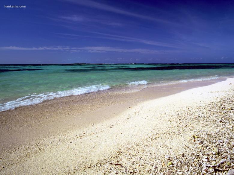 海滩天空椰树