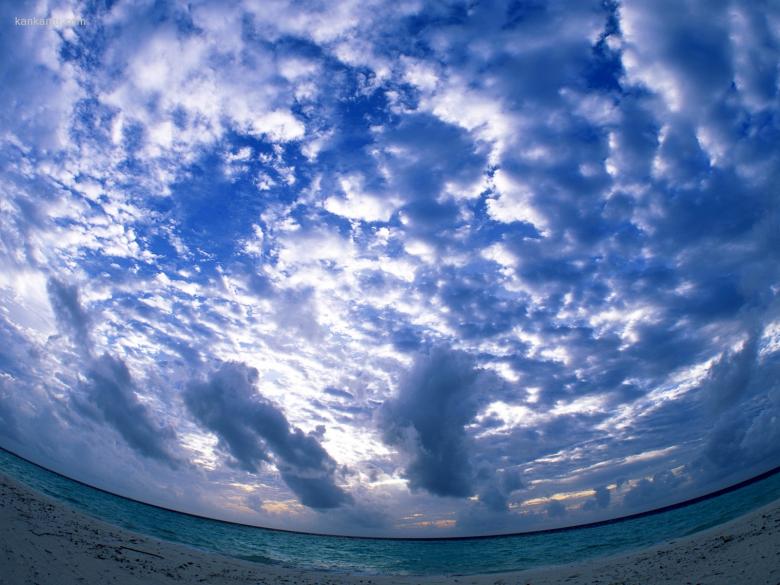 海滩天空椰树