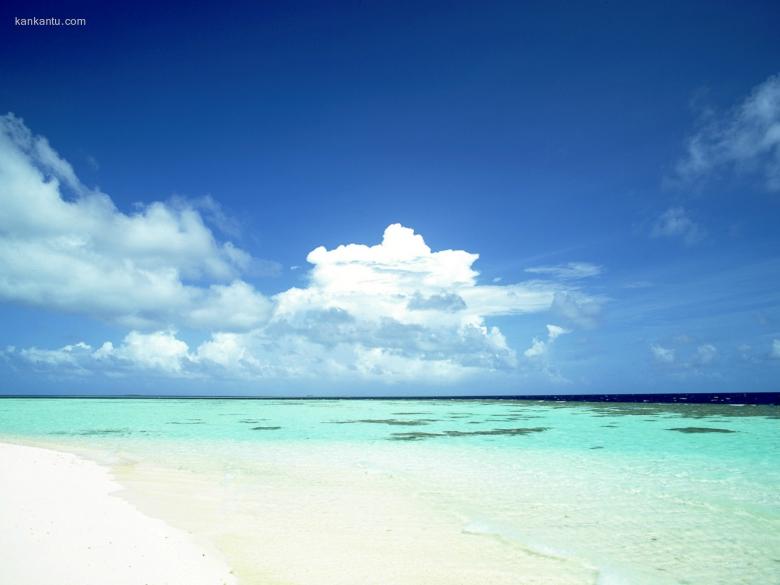 海滩天空椰树