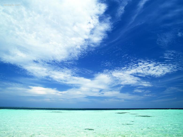 海滩天空椰树