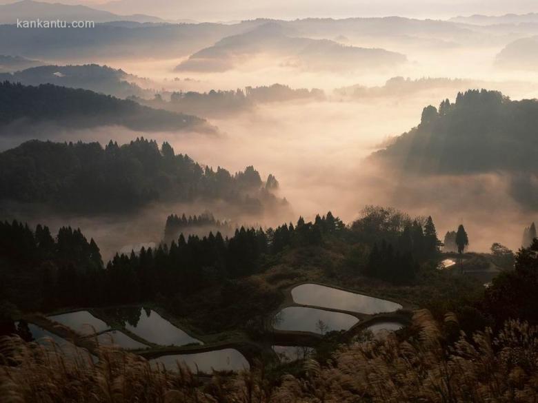 田间美景