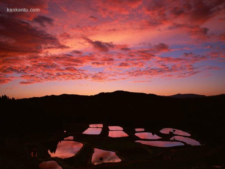 田间美景