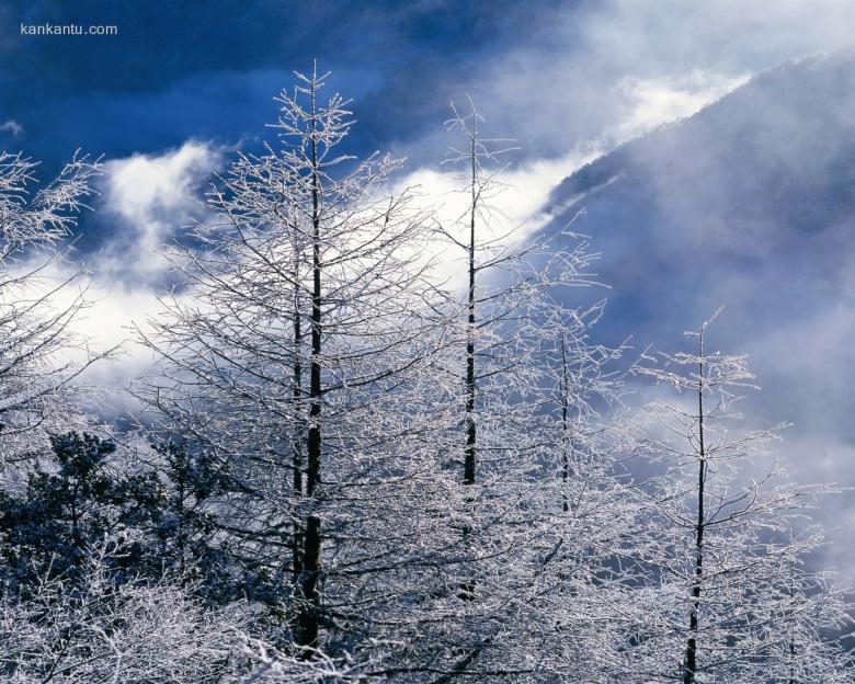 1280×1024雪景壁纸