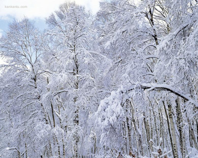 1280×1024雪景壁纸