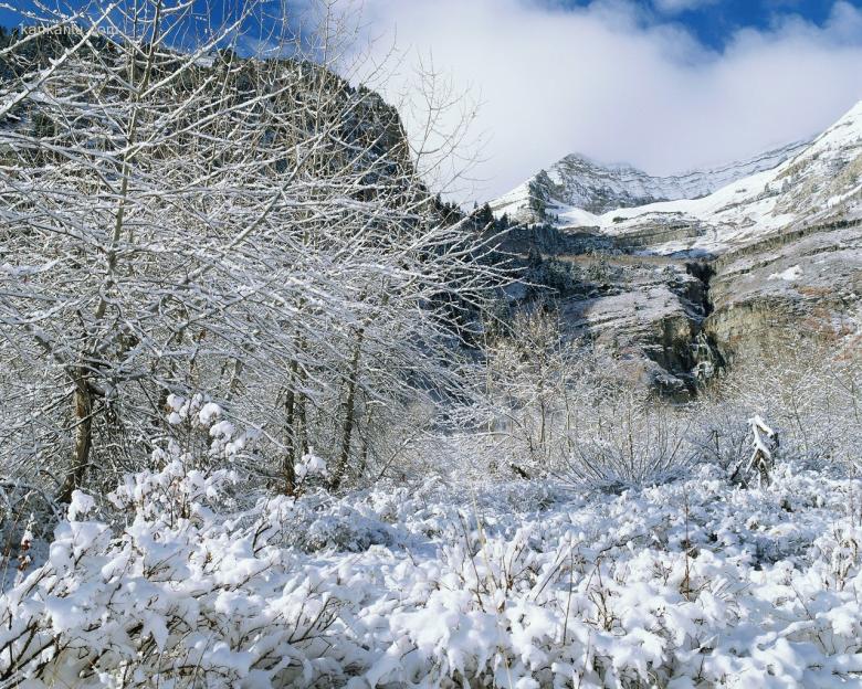 1280×1024雪景壁纸