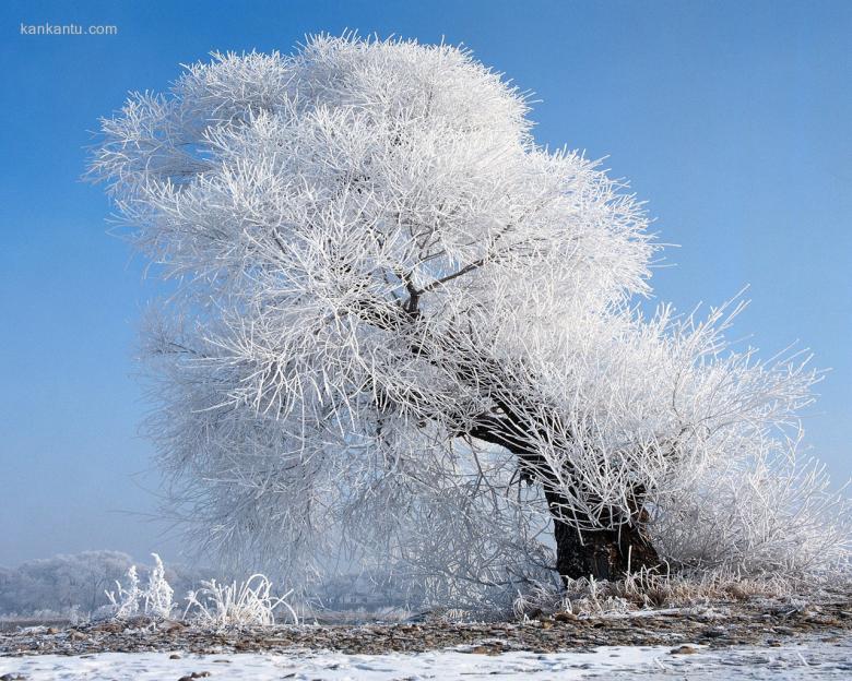 1280×1024雪景壁纸